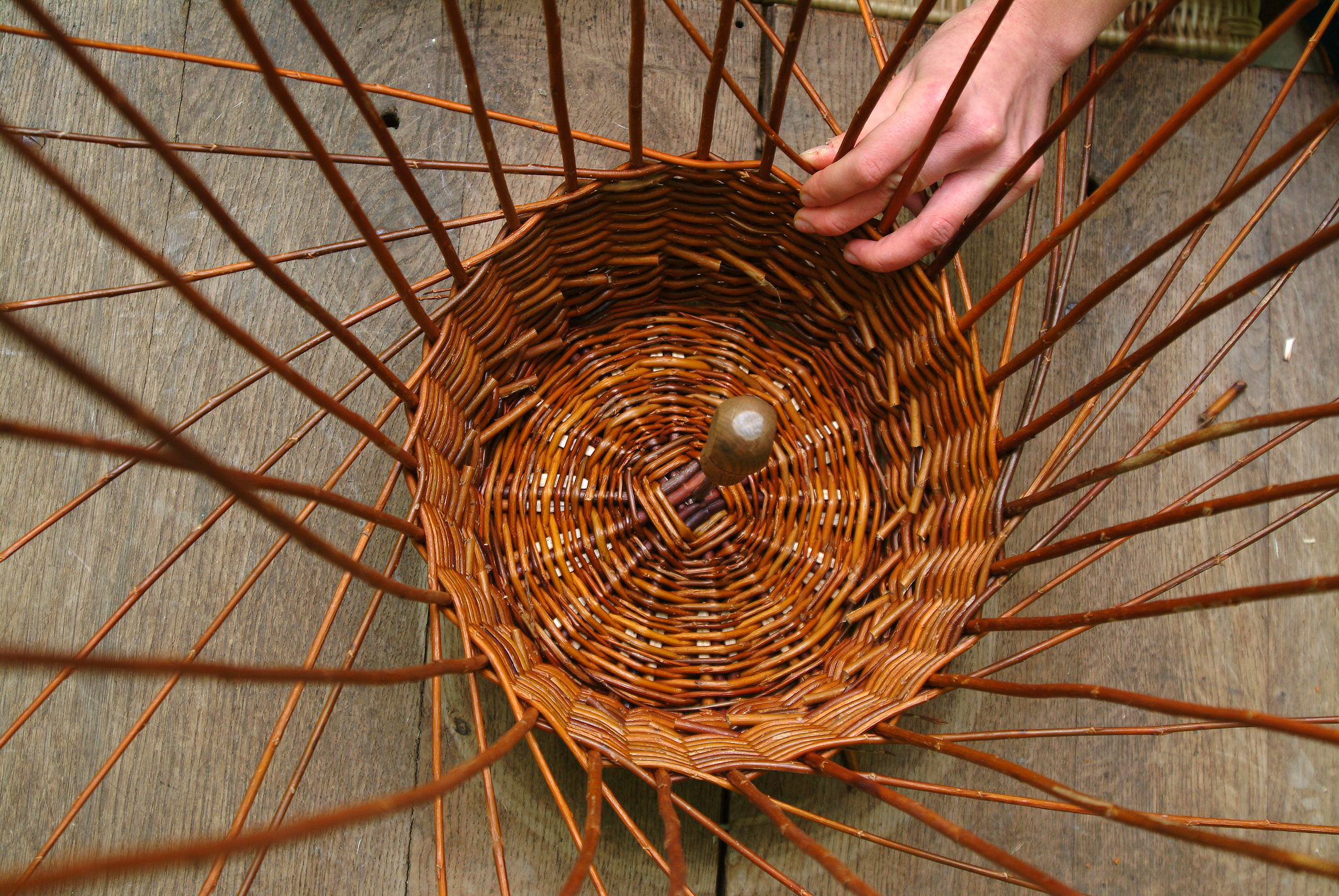 Week-end Boîte naturelle en osier - 7 et 8 mars 2026 – Image 5