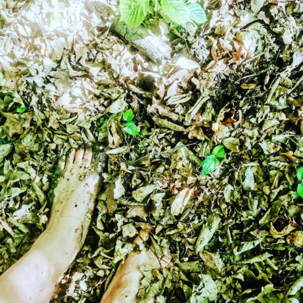 Bain de Forêt du 8/8