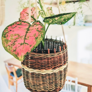 Atelier Suspension tressée - 26 avril 2026