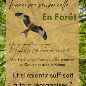 Traversée sensorielle en Forêt